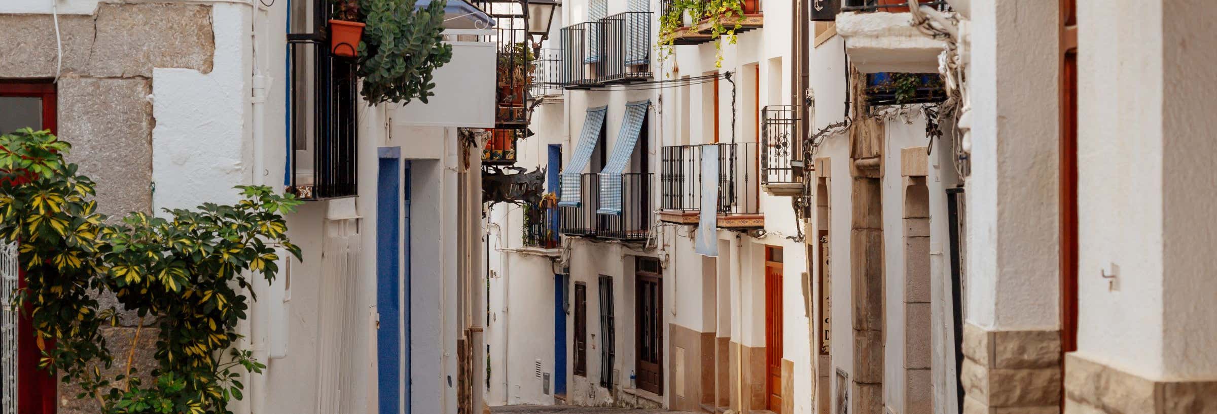 Free Tour en Peñíscola