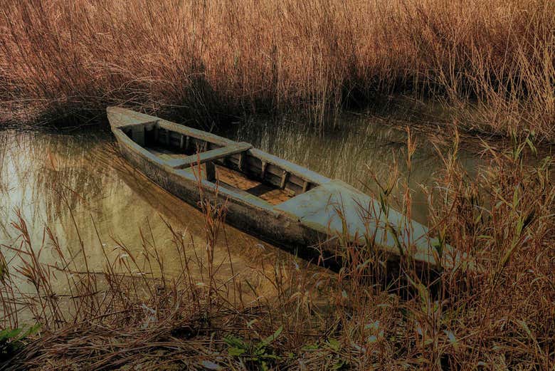 Tour through the Delta del Ebro
