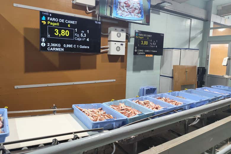 Aprenderéis cómo se vende el pescado en la lonja