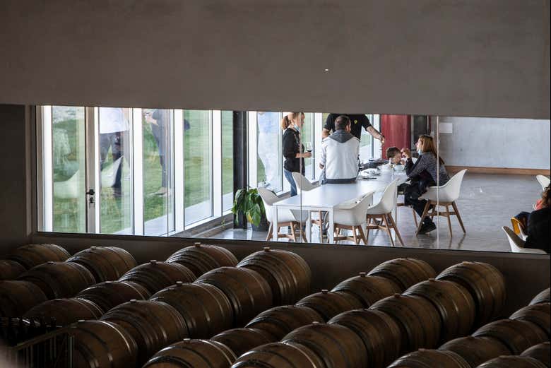 Disfrutando de la cata de vino