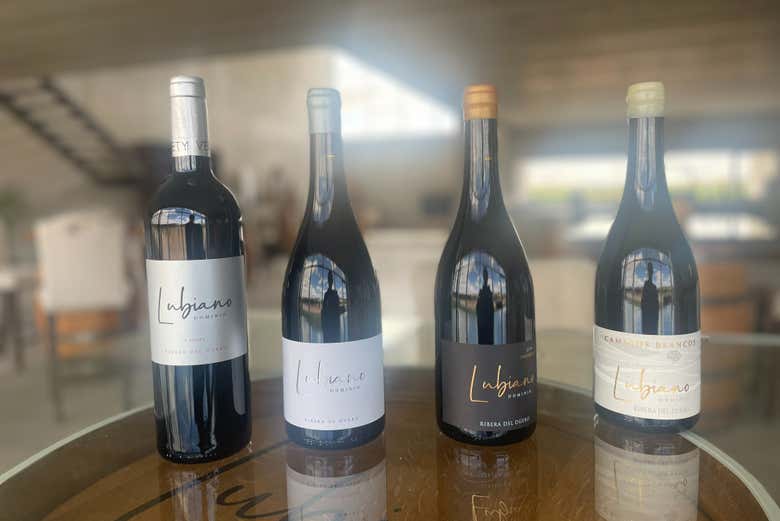 GAMA DE BOTELLAS