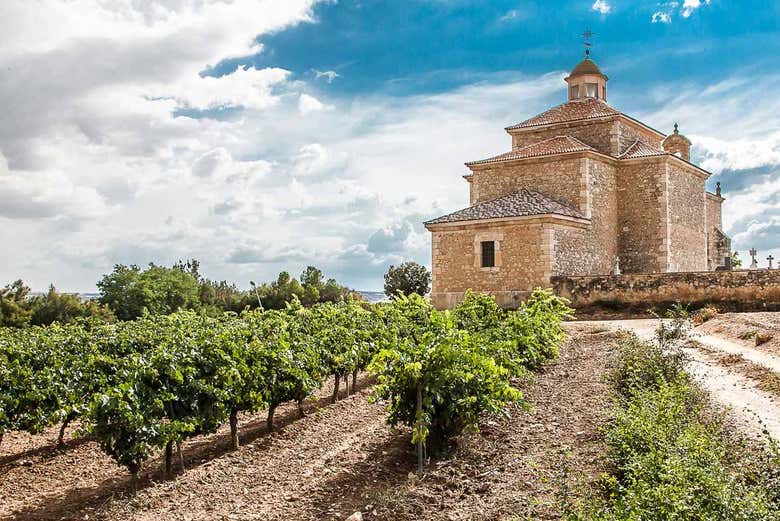 Viñedos de Dominio Lubiano