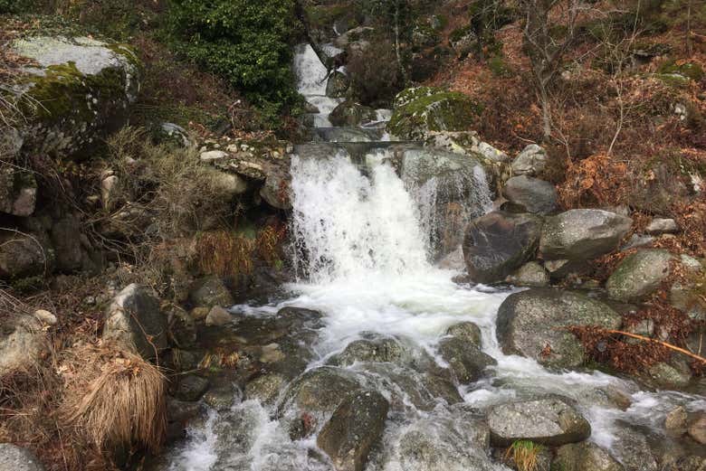 Río Tiétar