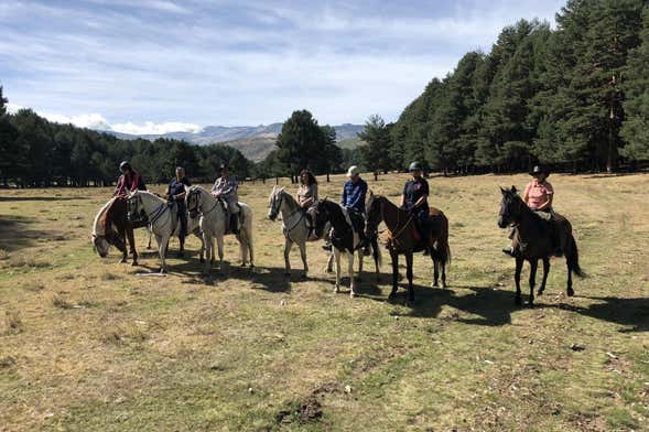 Paseo a caballo por el valle del Tiétar