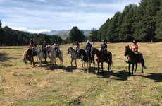 Paseo a caballo por el valle del Tiétar