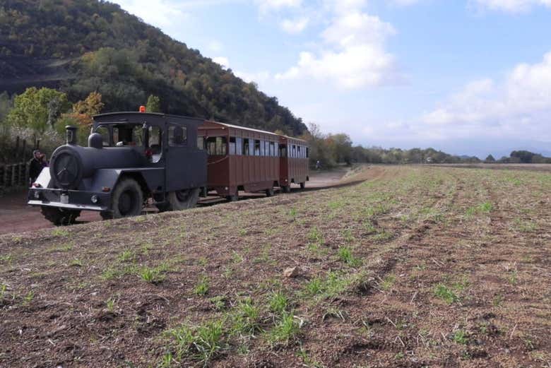 En trenecito por el Hayedo de Jordá