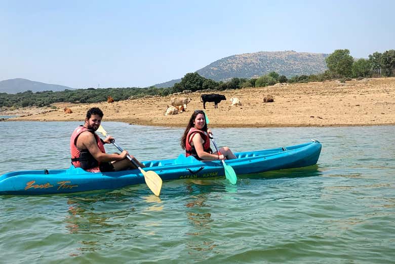 Ganado pastando en las orillas del embalse de Riosequillo