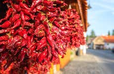 Visita a la fábrica de pimentón de La Chinata