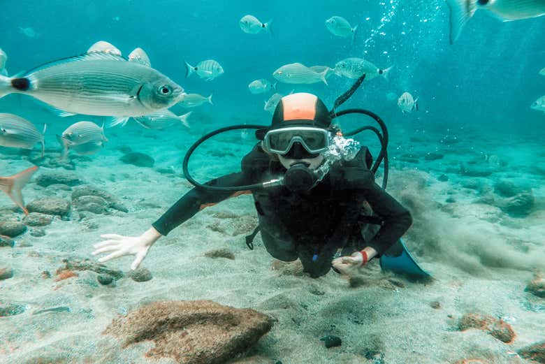 Nagez parmi les poissons