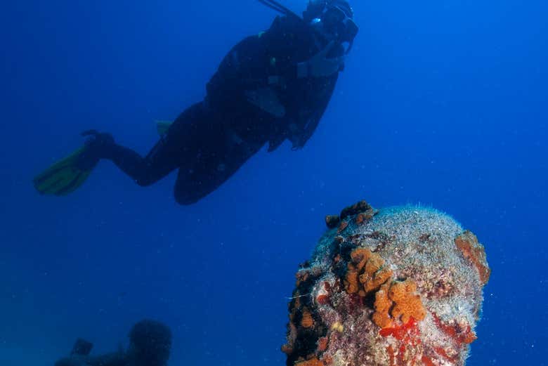Diving and admiring the statues