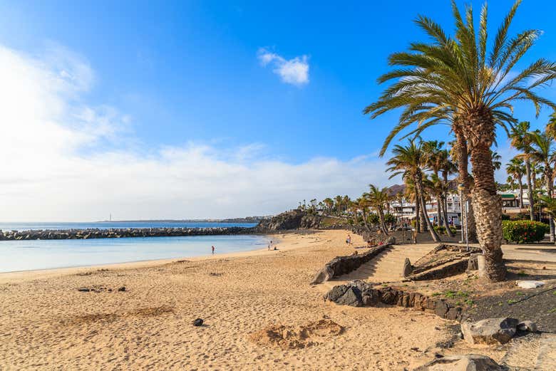 Visiting Flamingo Beach