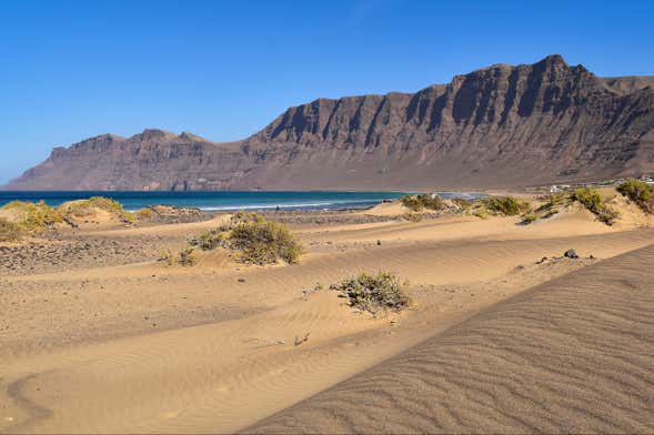 Lanzarote Small-Group Tour