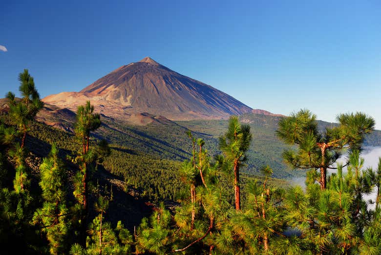 Vue panoramique des Cañadas du Teide