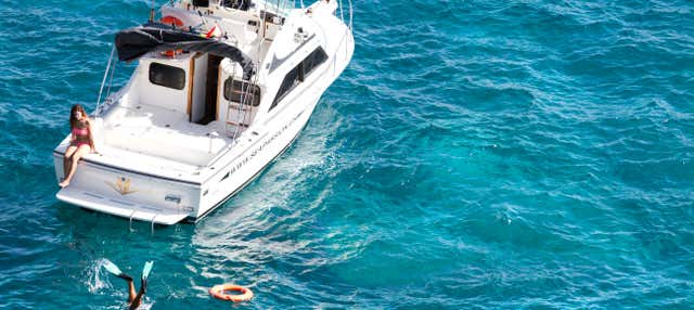 Balade en yacht et observation de cétacés
