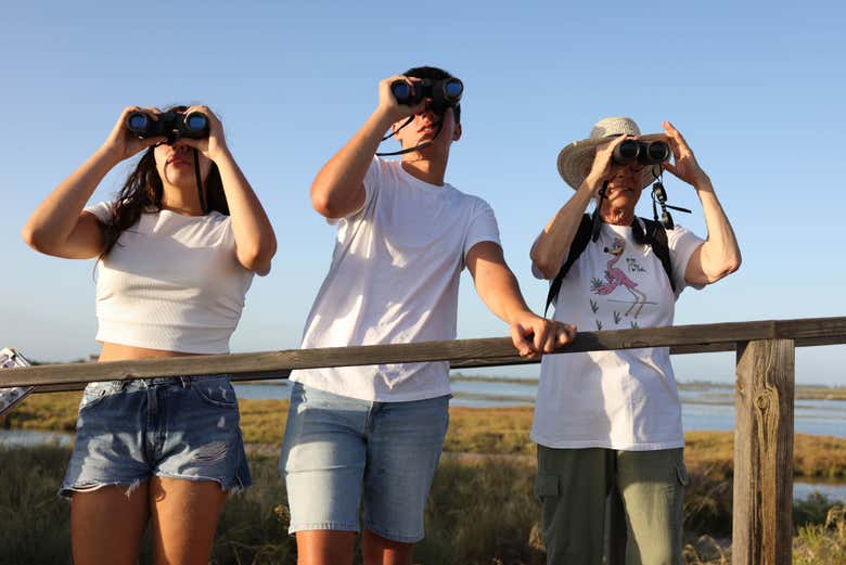 Iremos a un mirador para avistar aves autóctonas del Delta