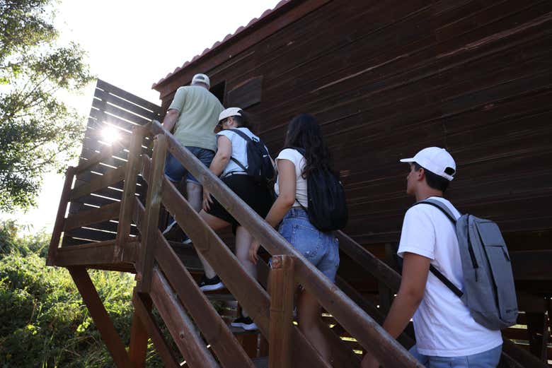 Subiendo al observatorio de aves