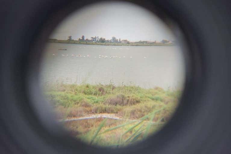 Obiettivo di una fotocamera che cattura il Delta dell'Ebro