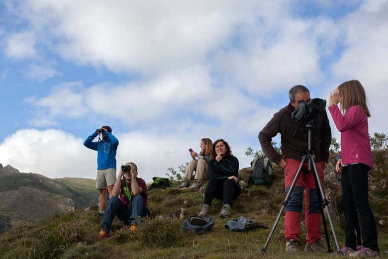 Groupe en train d'observer des ours bruns
