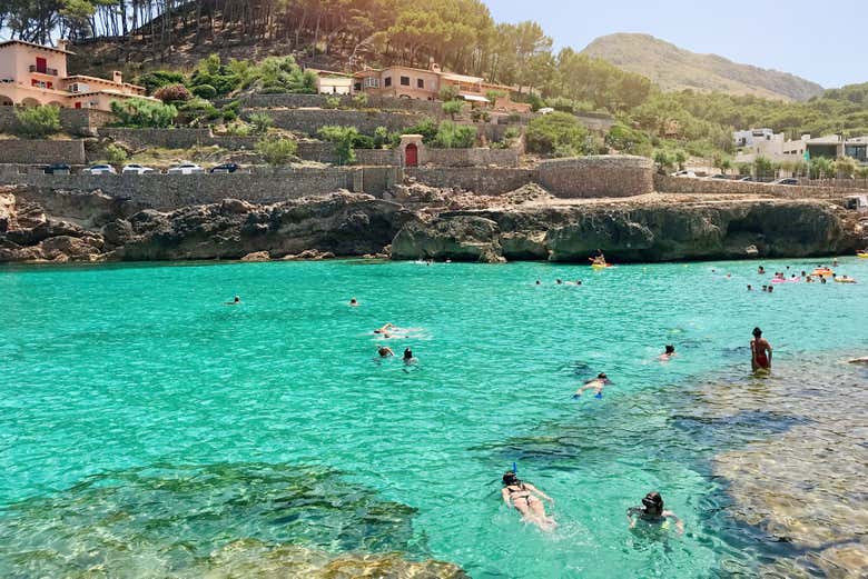 Snorkel nas águas cristalinas de Pollensa