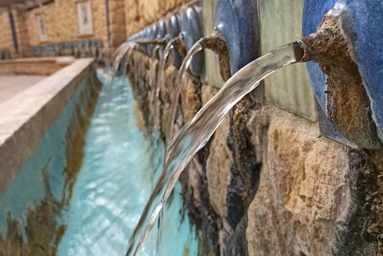 Grifos de la fuente de Gabriel Miró