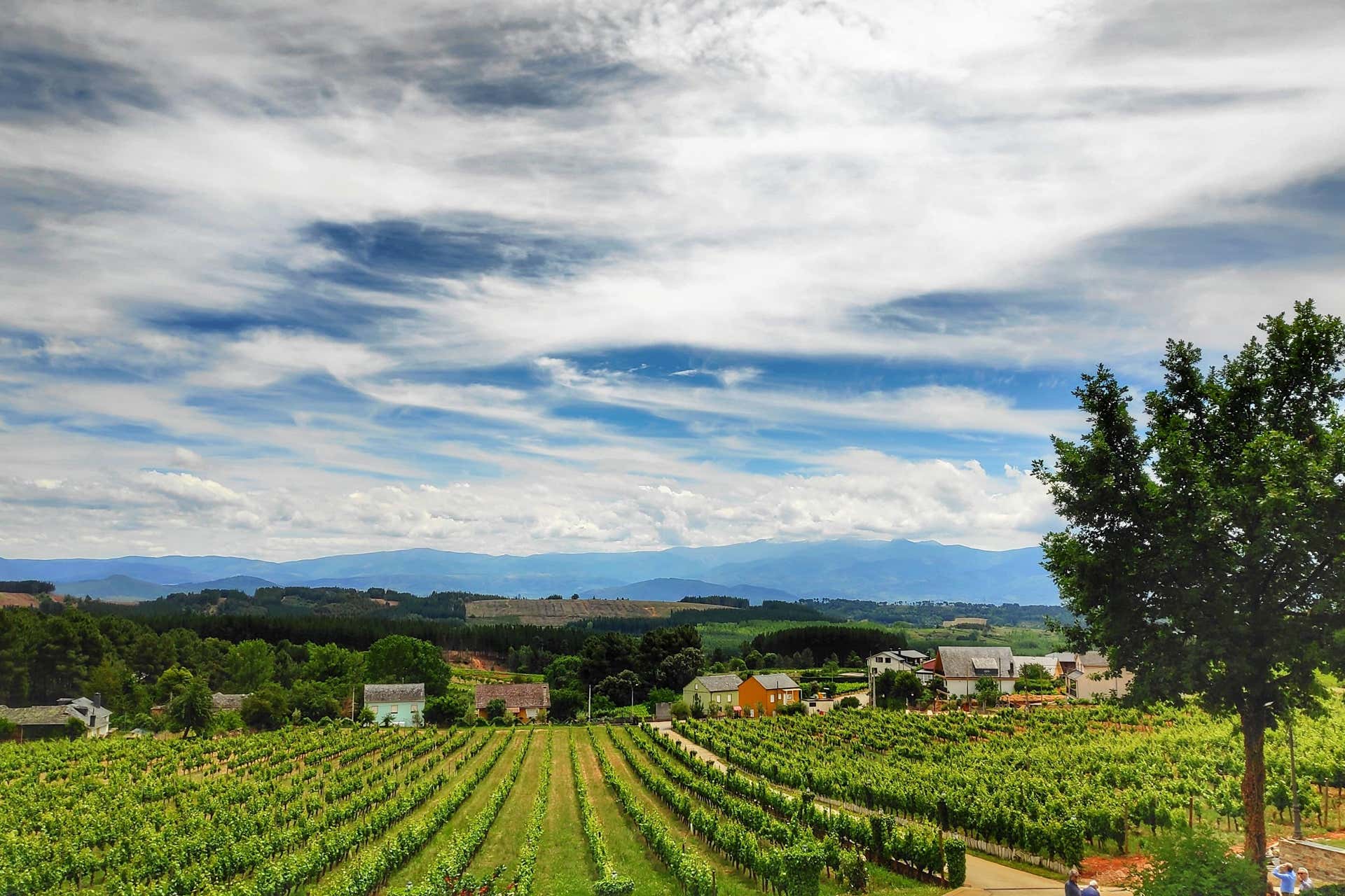 Excursión al Palacio de Canedo desde Ponferrada