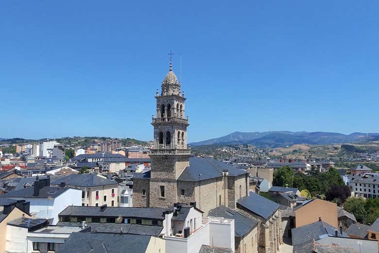 Holm Oak Basilica