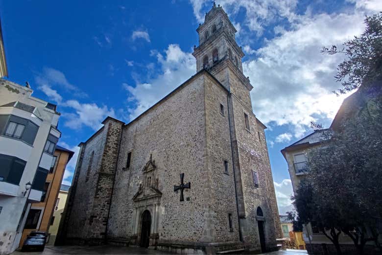 Holm Oak Basilica