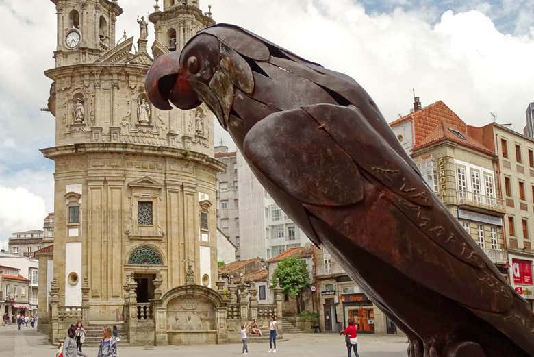 Loro Ravachol de Pontevedra