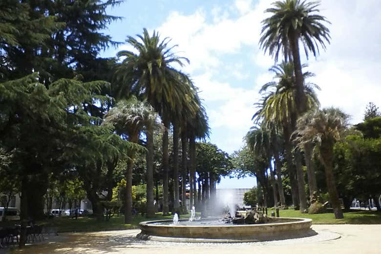 Parque de las palmeras