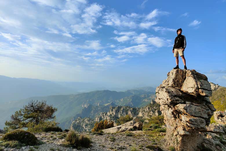 Contemplando los campos de Hernán Pelea