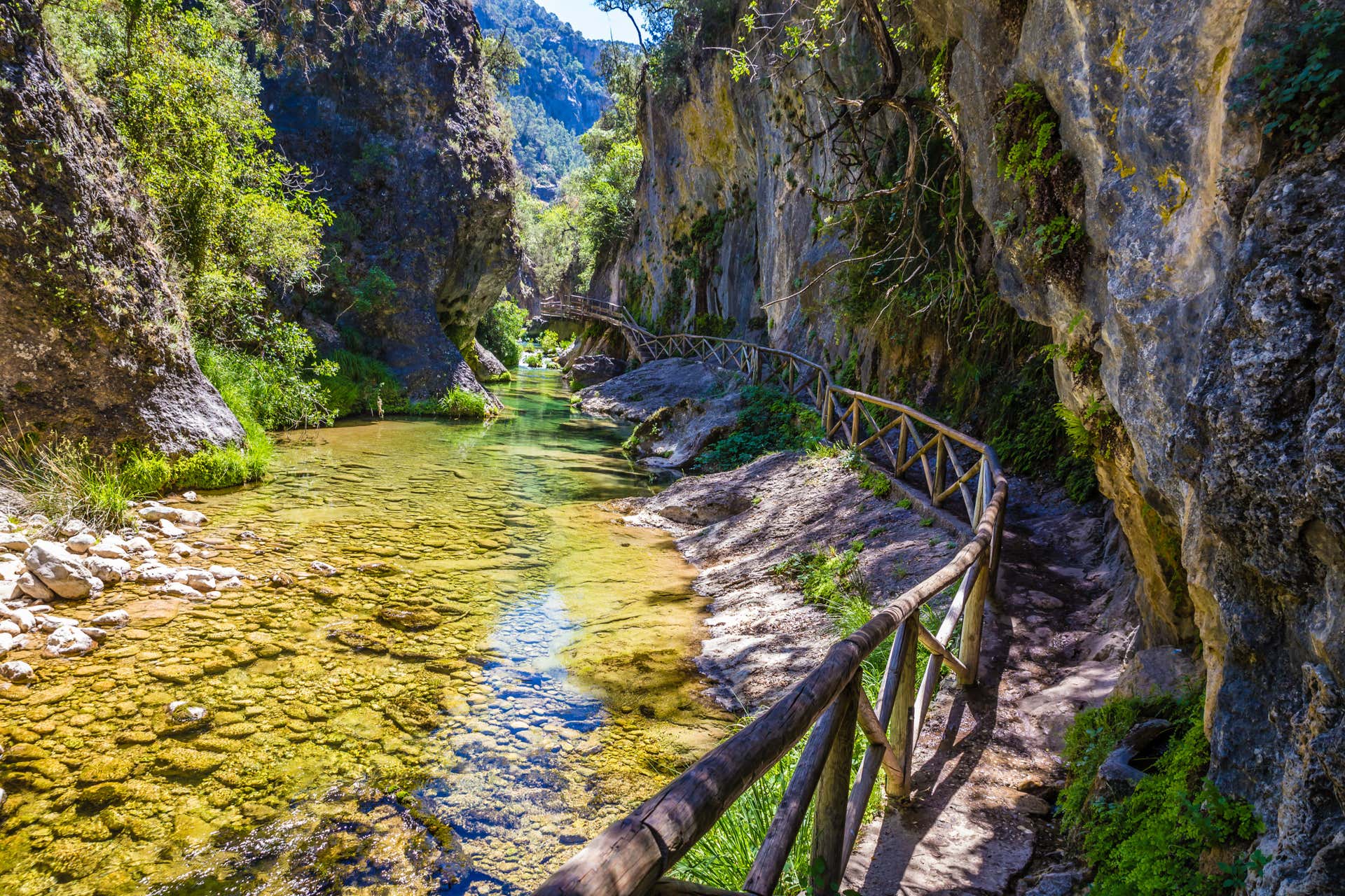 Foto de Sendero del Río Segura en Férez, Albacete