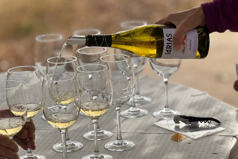Realizaremos una cata de vino de la bodega Idrias
