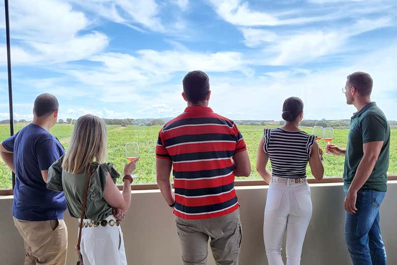Prenez un verre de vin en admirant les vignobles