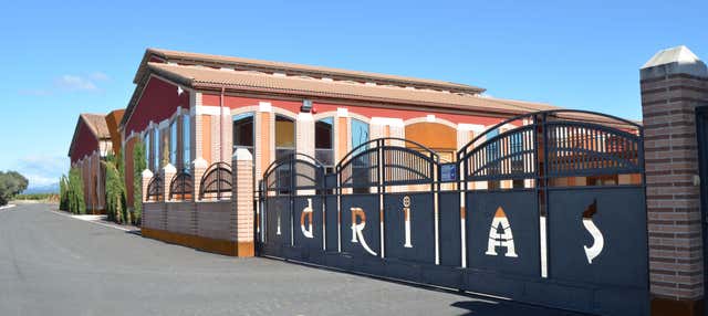 Visita a la bodega Idrias