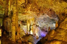 Entradas a las Cuevas Dels Hams