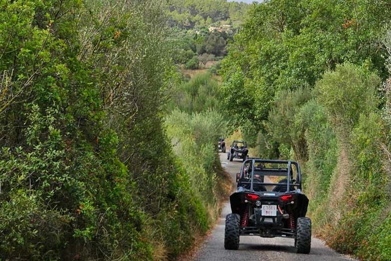 Pilotando los buggies por agrestes caminos de tierra