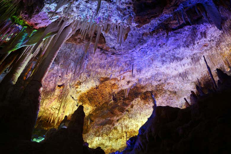 Visitando las Cuevas Dels Hams