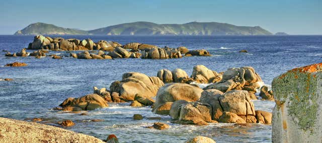 Ons Islands Return Trip