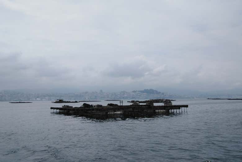 Batea de mejillones