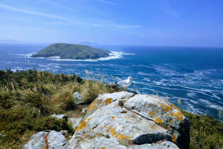 Paisagens da ilha de Ons