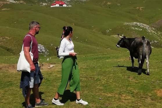 Contempleremo la fauna autoctona della zona