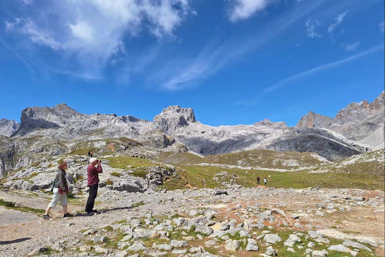 Picos de Europa