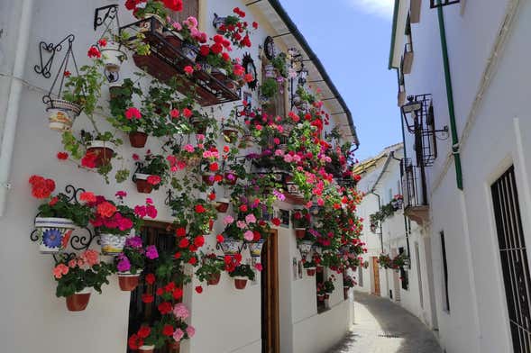 Free tour por Priego de Córdoba