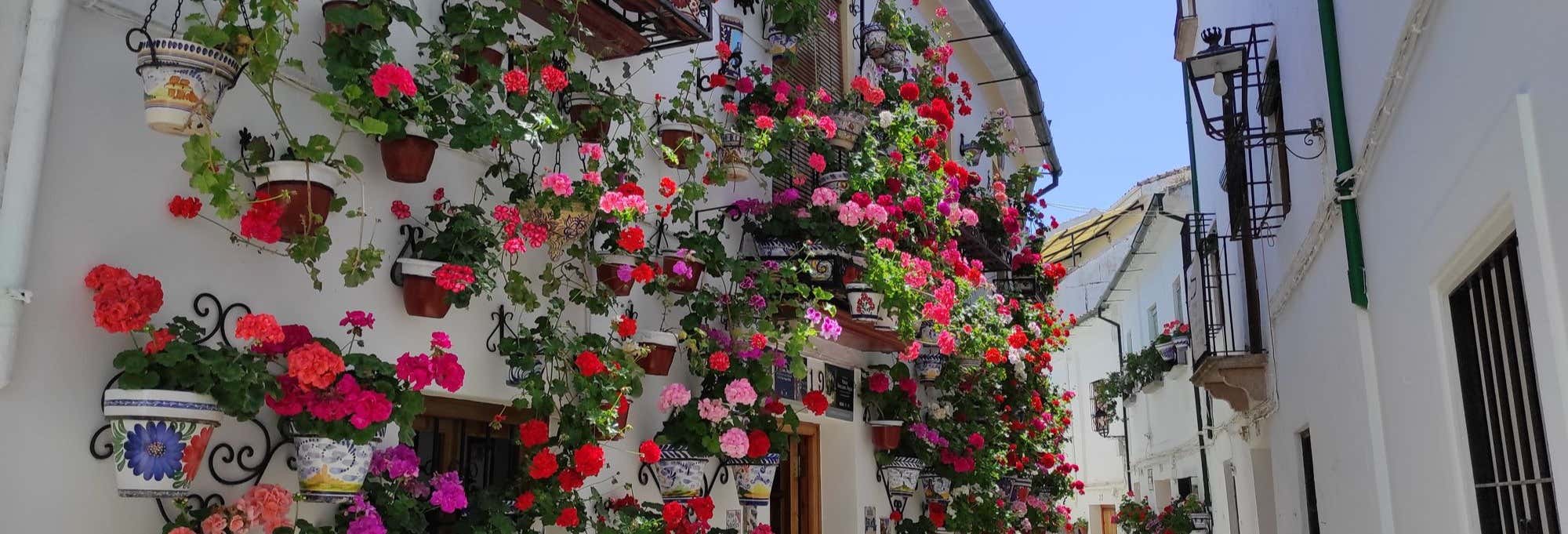 Visitas guiadas y free tours en Priego de Córdoba