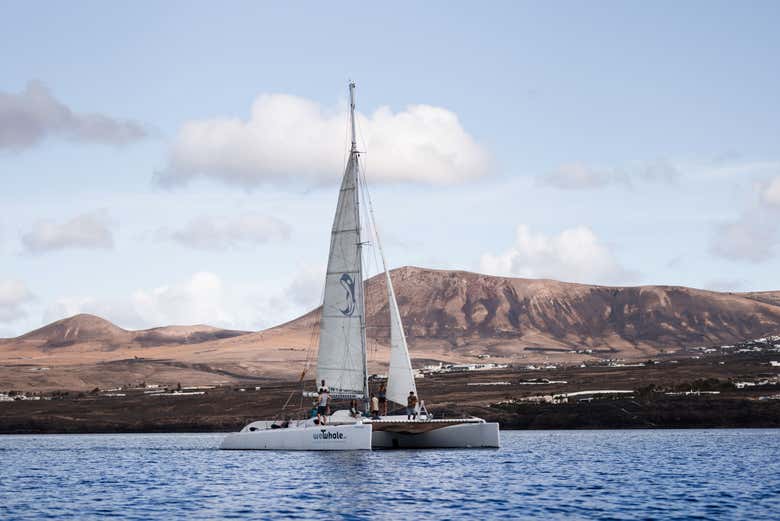 Veleiro navegando por Puerto Calero
