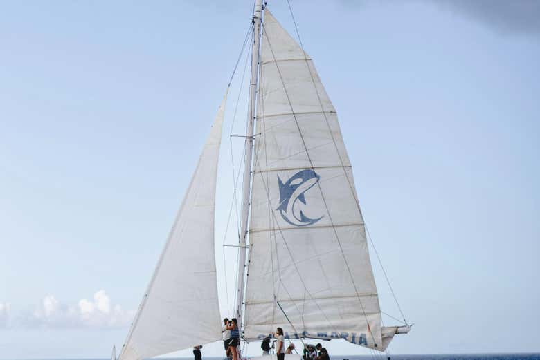 Vela del barco