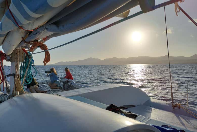 Navegando pelas costas de Lanzarote