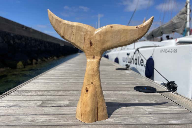 Localizando o catamarã que nos levará para ver os golfinhos