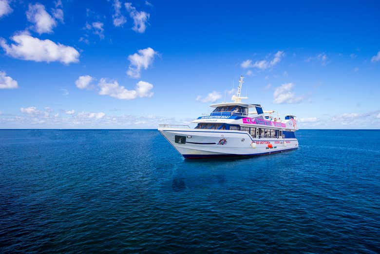 Cruising through the Atlantic Ocean