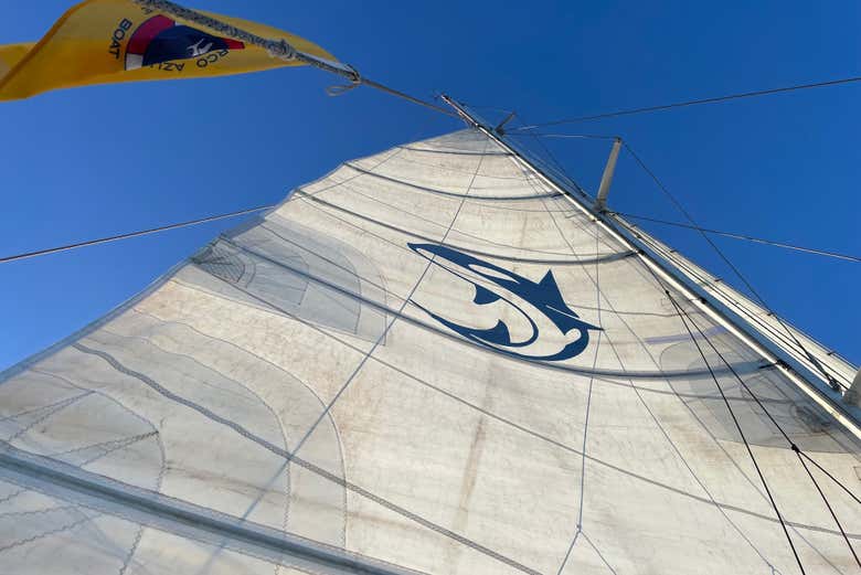 La vela del barco en el que navegaremos